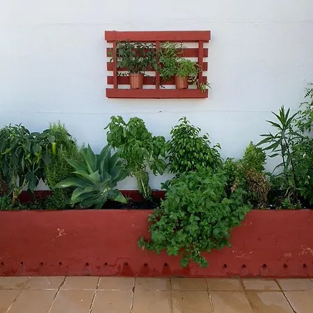 Atico La Ilusion Con Parking Sanlúcar de Barrameda
